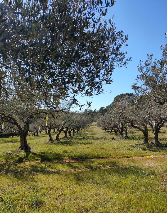 Les Hauts Du Peireguier La Motte Kültér fotó